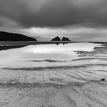 IMG_8266
