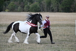 WJ7_8436