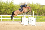 SBM_002978