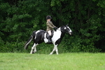 WJ7_2008