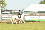SBM_11023