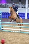 Class 21 - Nupafeed Supplements Senior Discovery/ 1m Open - First Round (1.00m) portfolio