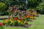 Graham Wiffen - Woodside Park - DSC_0016
