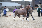 SBM_006400