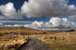 Dartmoor (indentify)