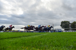 171026-Race 5-Brighton Boy-8932