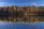 Reflections