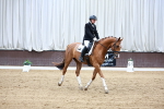 SBM_001013