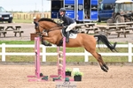 Cls 36 1.10m Amateur Quali portfolio