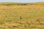Tebay-428