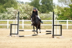 SBM_008102