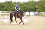 SBM_010214