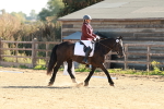 SBM_009276