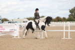 SBM_14736
