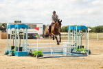 SBM_018466