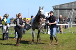 Race 4:  Maiden portfolio