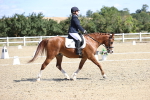 SBM_013865