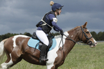 BVHT 140517  NXC -256