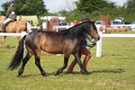 DSC05121
