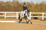 SBM_004731