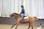 SBM_009949