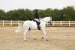 SBM_001564
