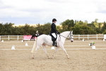 SBM_004271