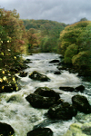 Welsh River In Autumn