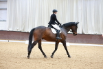 SBM_001431