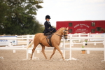 SBM_05312