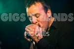 Hevvy Bevvy Blues Band-37