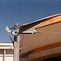 Canopy Detail