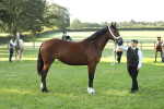 SBM_57963