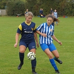 DSC01537