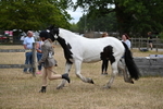 WJ6_8383