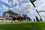 Race 6 4.25pm Eboracum Security Handicap portfolio