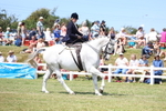 3E7A9767