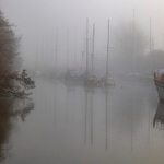 Misty Harbour Reflections