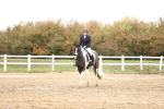 SBM_000729