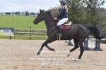 BPP_1000