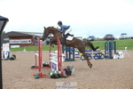 Cls 35 Chard Eq 4Yr Old Champs portfolio