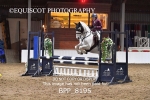 BPP_8195