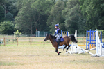 WJ6_9317