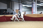 SBM_03680