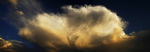 Stunning Cell-Panorama1