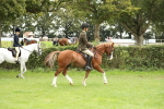 SBM_73688