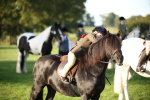SBM_32362