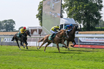 160726-Race 6-Capital Guarantee-5133