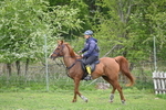 WJ6_3232