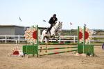 SBM_007336